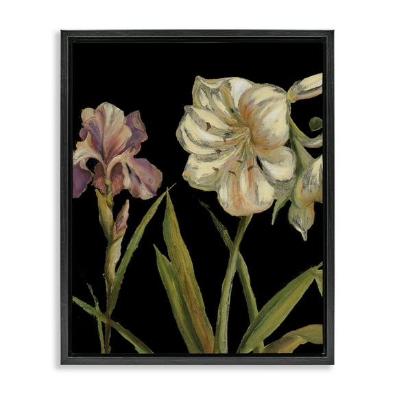 Stupell Industries Iris Flowers on Black Botanical & Floral Painting Black Floater Framed Canvas Art Print Wall Art, 17 x 21