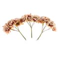 thumbnail image 3 of PAQUETE 60 Ramo de Flores Artificiales Floral Boda Suministros Nupciales Artesanía de bricolaje con café Sunnimix Flor artificial, 3 of 8