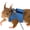 Blue, variant on Small Pet Harness, Small Animal Leash Set, Squirrel Walking Harness, Adjustable Chest Strap, 1.65m Rope, Polyester, 3 Sizes S M L, Brown, Black, Orange, Blue, Green, Gray
