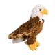 thumbnail image 1 of Peluche Douglas Colbert Bald Eagle 20cm, 1 of 1