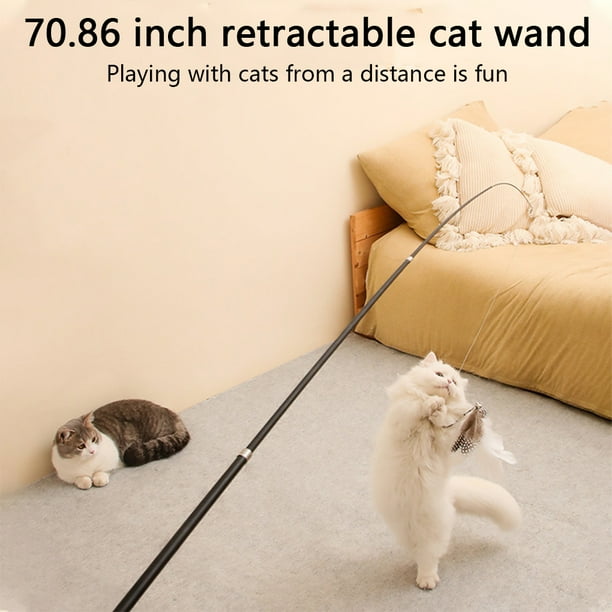 Pets at hotsell home cat accessories