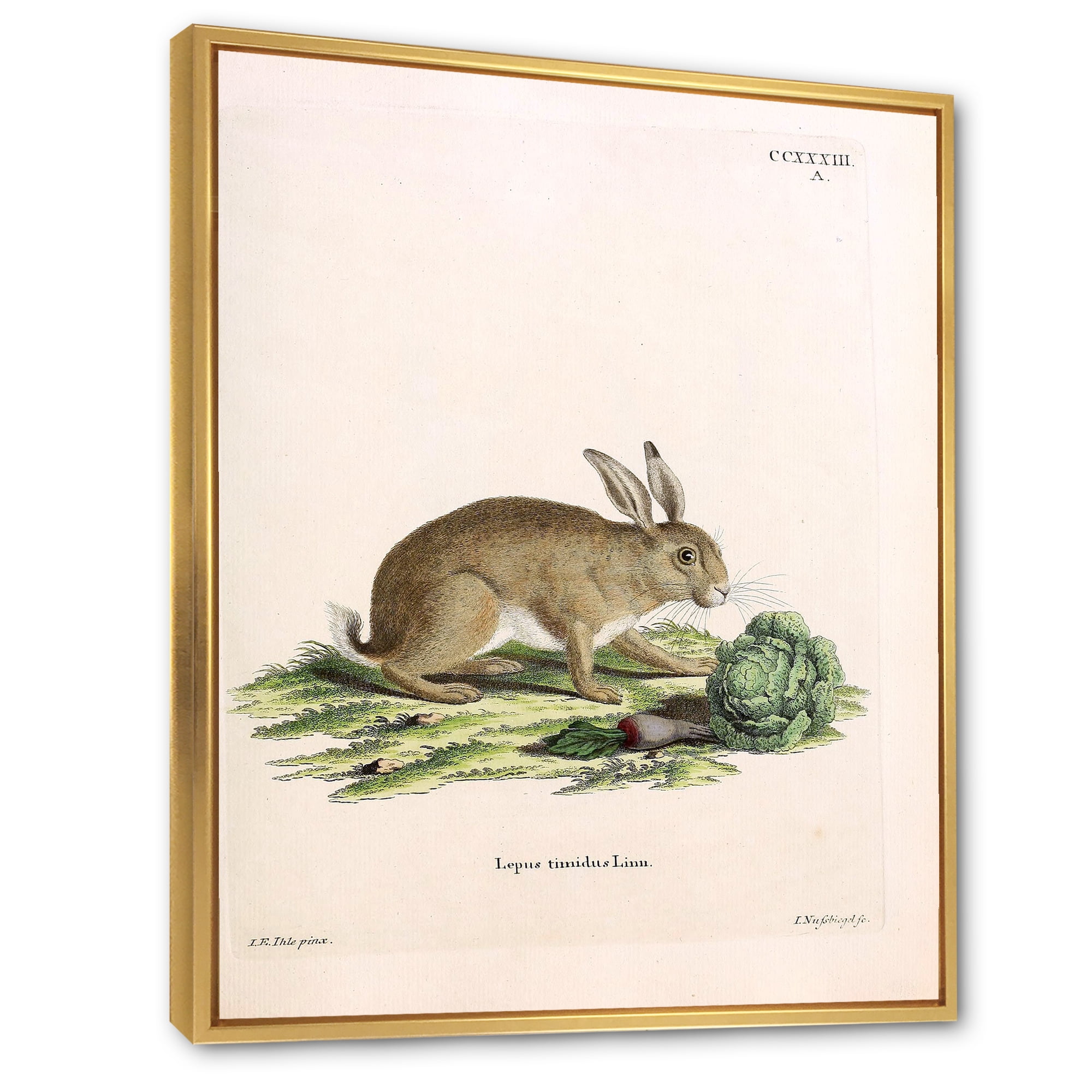Ancient Rabbits In Earth Tones 30 in x 40 in Framed Painting Canvas Art Print, by Designart