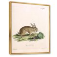 thumbnail image 3 of Designart 'Ancient Rabbits In Earth Tones' Farmhouse Framed Canvas Wall Art Print, 3 of 5
