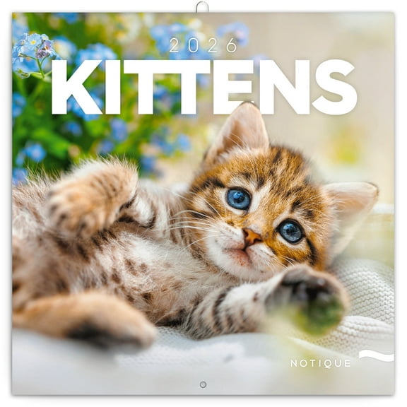 Calendar 2025-2026 Cute Kittens Wall Planner, Adorable Cat Organizer, 16-Month Hanging Schedule Sep 2025–Dec 2026, 12x12 in