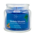 thumbnail image 1 of Vela Mainstays Sándalo Silvestre 85 G, 1 of 4