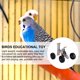 thumbnail image 5 of Juguete de entrenamiento de inteligencia de aves, juguete educativo para bicicleta de loro, pie de pájaro, juguete de garra, 5 of 6