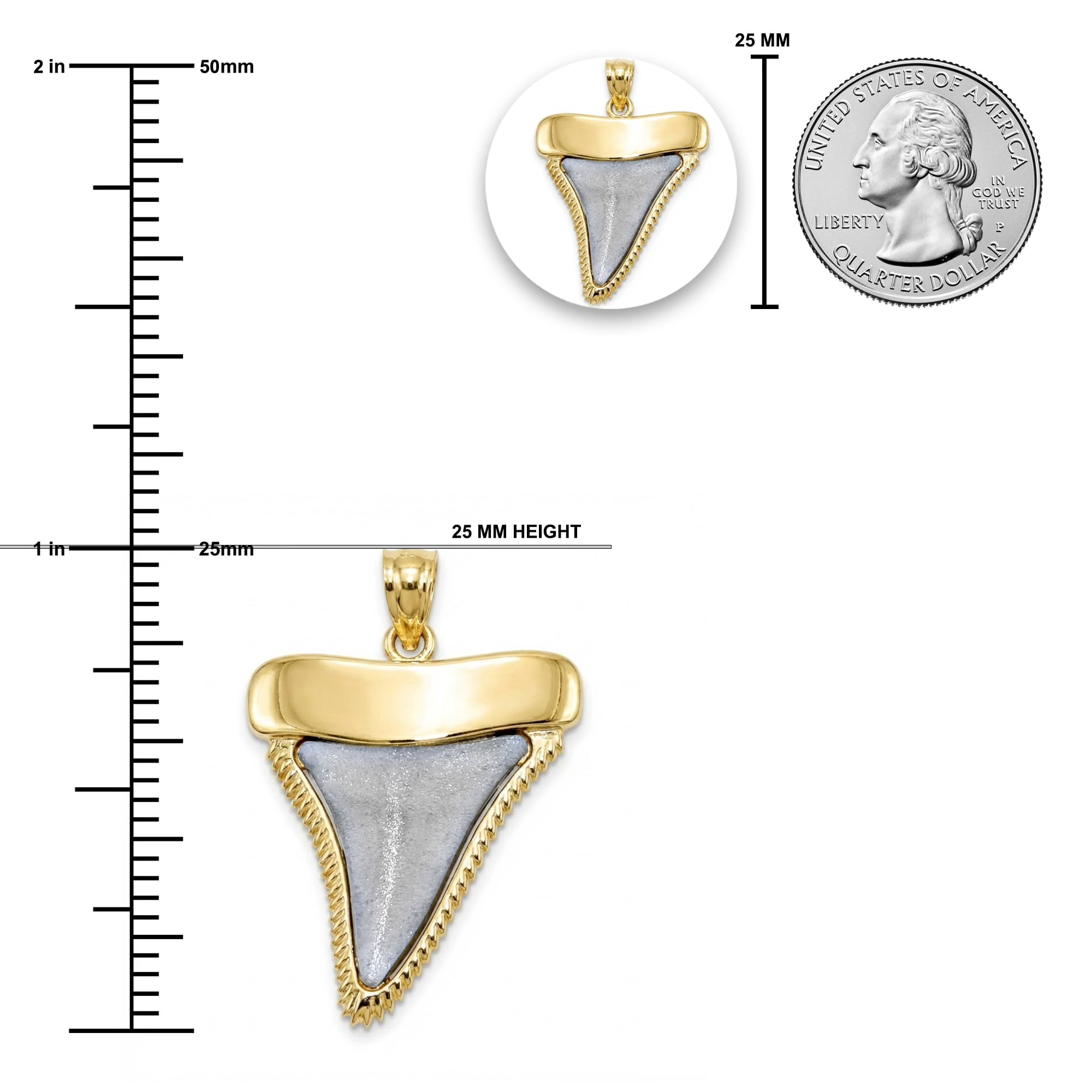 Charm America - Gold Shark Tooth Charm - 10 Karat Solid Gold