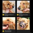 thumbnail image 2 of CHUANK Dog Muzzle for Medium Large Dogs Adjustable Breathable Soft Leather Muzzle For Biting L Black, 2 of 22