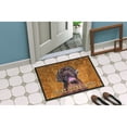 thumbnail image 4 of Carolines Treasures SC9127MAT Labrador Door Mat Indoor Rug or Outdoor Welcome Mat 18X27 Doormat 27"L x 18"W multicolor, 4 of 4
