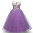 thumbnail image 2 of Baby Girl's Sequin Mesh Dress Kids Lace Embroidery Ball Gown Children's Party Dress Tulle Prom, 2 of 3