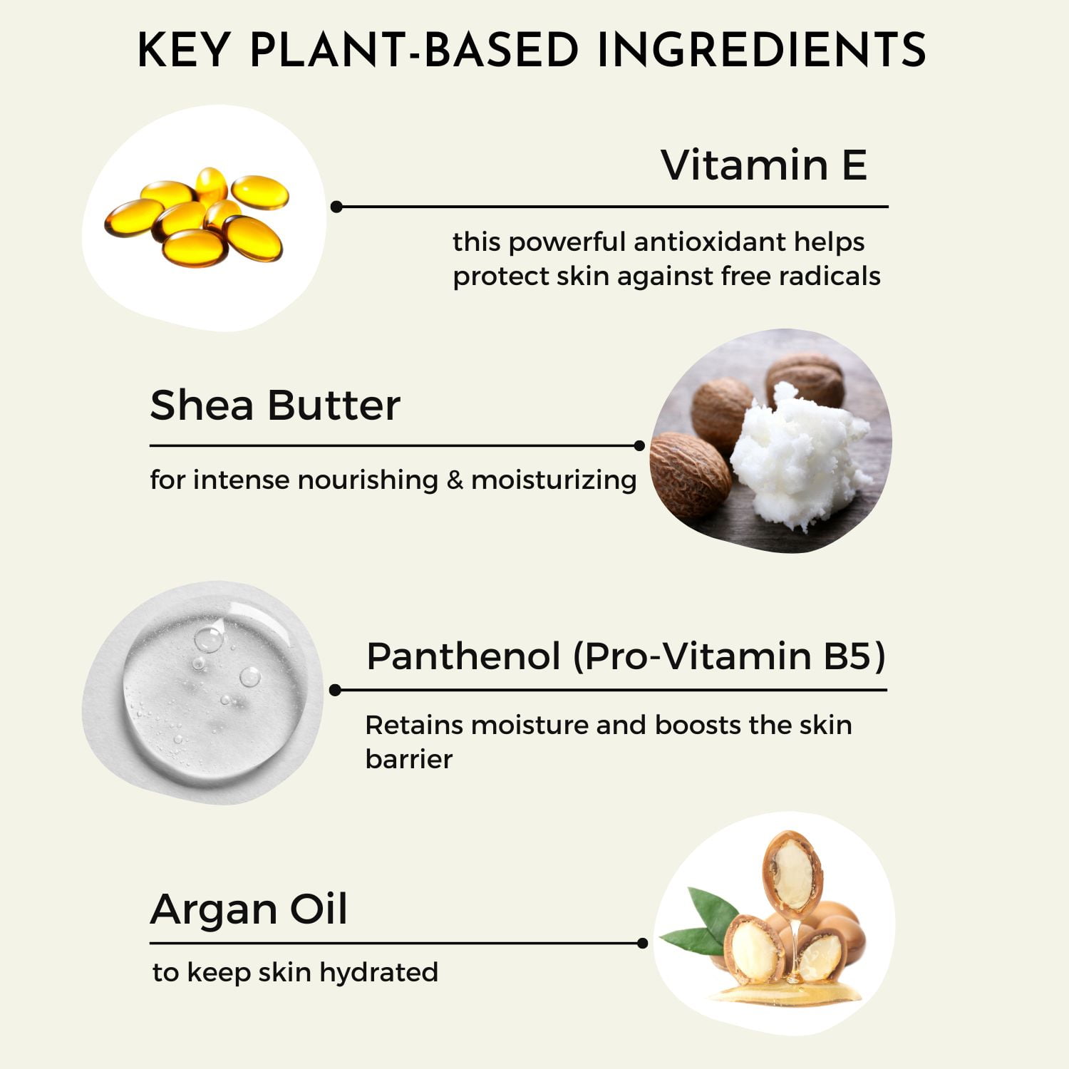 RaGaNaturals Fragrance Free Hand and Body Lotion - All Natural, Vegan, Dry Skin Moisturizer, 8 fl oz