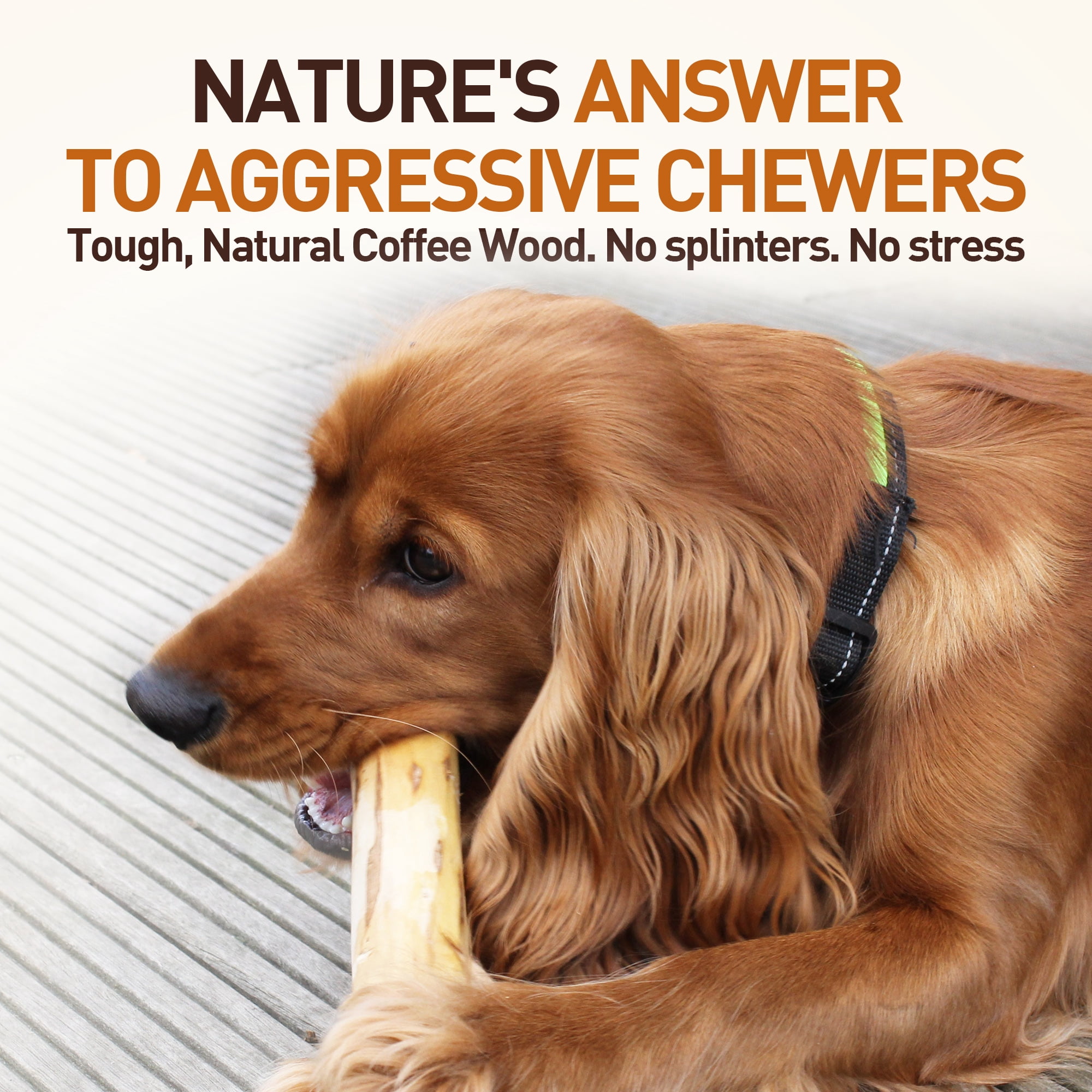 Wildfang® 3 Coffee Wood with Salmon Oil (Size S) Dog Chew Stick – Natural Salmon Oil Infused Wooden Chewing Stick for Dogs