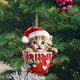 thumbnail image 4 of pstuiky Colgante navideño de gatitos adorables para coche, colgante acrílico de gato con gorro navideño, colgante de árbol de Navidad de gatitos, 4 of 5