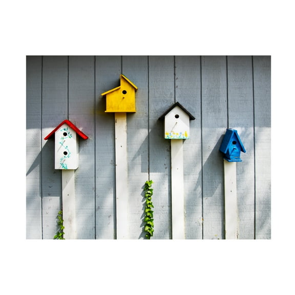 Robert Michaud 'Bird houses' Canvas Art