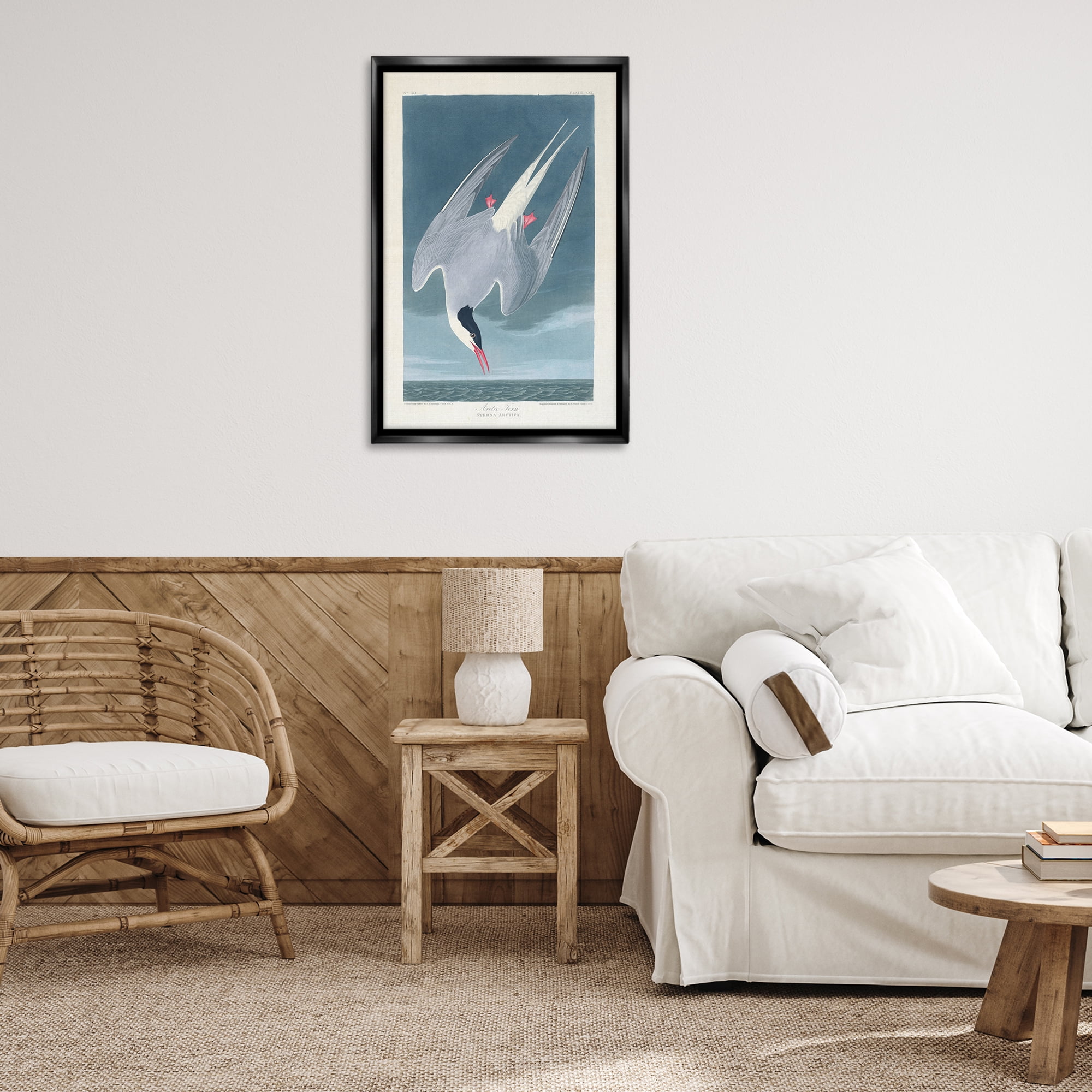 Stupell Industries Classic Arctic Tern Bird Animals Painting Black Floater Framed Canvas Art Print Wall Art, 21 x 31