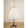 thumbnail image 5 of Womens Short Tutu Tulle Skirt with Sash Black Size M PC06, 5 of 6