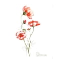 thumbnail image 3 of Shefranov, Olga 15x18 Black Modern Framed Museum Art Print Titled - Orange Flowers II, 3 of 5
