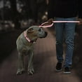 thumbnail image 4 of LAICAIW Reflective Dog Collar And Leash Set,Adjustable Neoprene Padded Nylon Collars, 6 FT Heavy Duty Dog Leash 2 Comfortable Handles Safety Locking Buckle for Puppy Small Medium Extra Large Breed D, 4 of 6