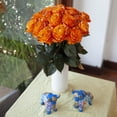 thumbnail image 5 of Painted Trick or Treat Confetti Roses 50 cm - Fresh Cut - 100 Stems, 5 of 6