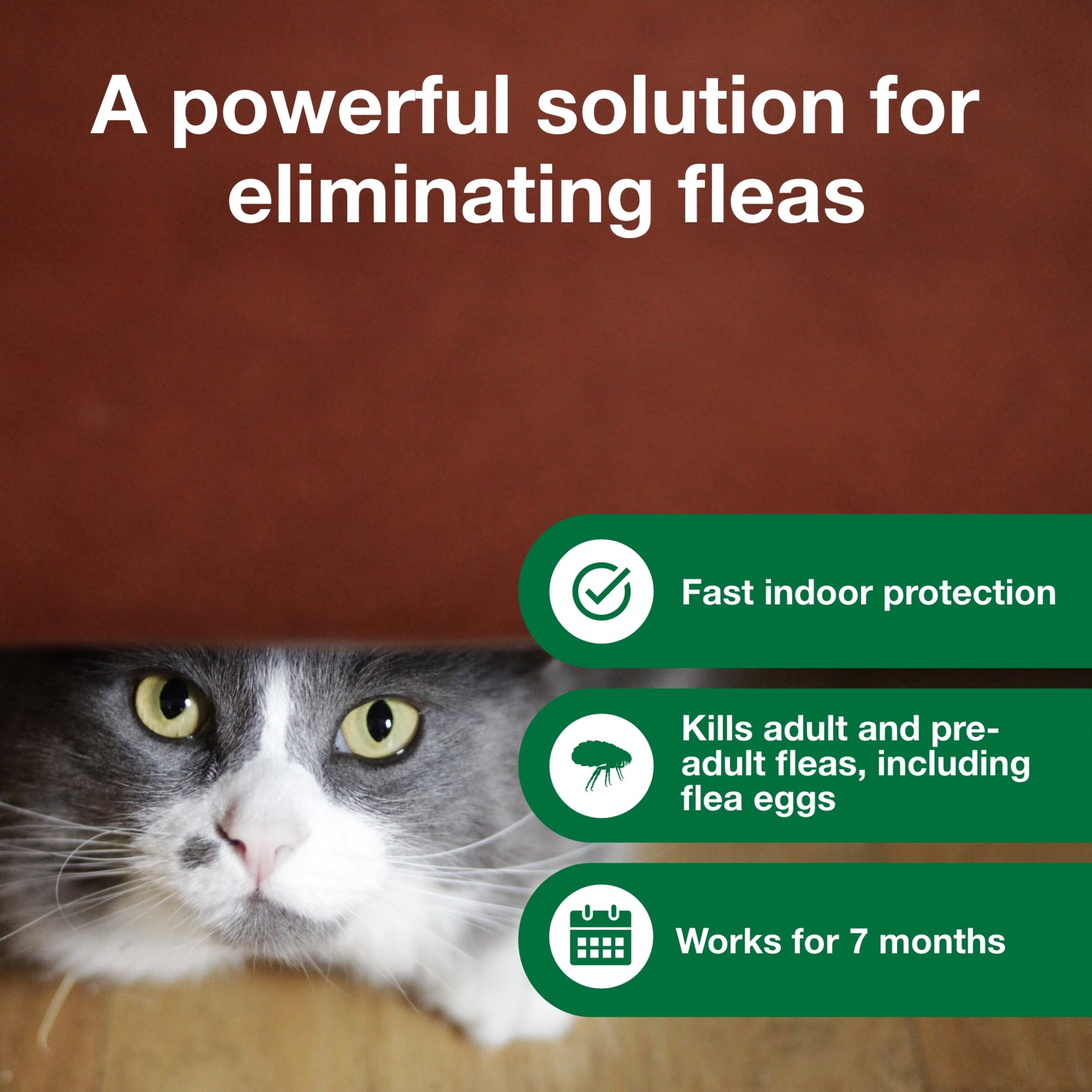 Advantage Household Fogger, Kills Fleas & Ticks, Flea Fogger for Home, 2 oz. (Pack of 3)