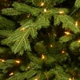 thumbnail image 4 of National Tree Company 7.5 ft. Pre-Lit Feel Real® Artificial Princeton Fraser Fir Christmas Tree, Green, Dual Color® LED Lights, Includes PowerConnect System and Stand, 4 of 6