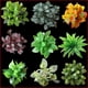 thumbnail image 4 of Injueey Plantas artificiales Hojas falsas Ramo de hojas Hojas de plástico Planta de simulación Muebles Hogar Oficina Decoraciones para el hogar Type2 NO2 Injueey HA0178-06, 4 of 6