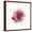 Brown Frame, variant on Art.com Watery Red Bloom 2 Art Print by Sandra Smith, 24" x 24"