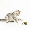 thumbnail image 4 of Hearth & Gear Mice Cat Toys Cat Toys Mice ” Real Little Mice Size Cat Toys With Rattle Sound Prefilled Cat Mice Toy For Indoor Cats Interactive Play Tug for Dogs Indestructible Large Dogs Dog Bundle, 4 of 4