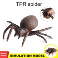thumbnail image 4 of Neinkie Tarantula, Stretchy Toy Super Stretchy Animal Replicas That Feel Real, Great for Kids, 4 of 6