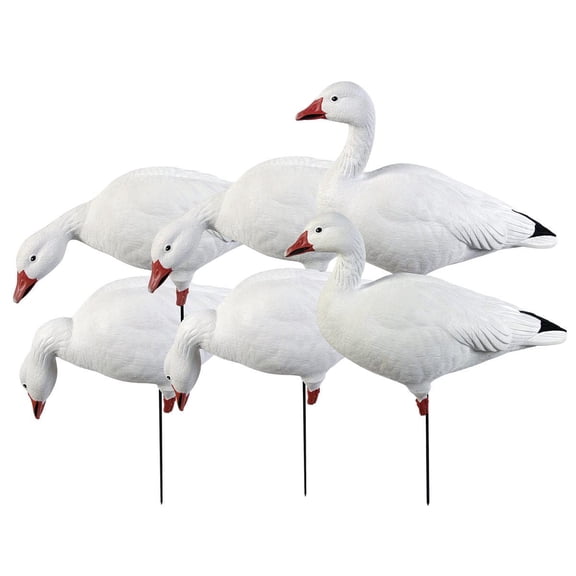 GHG Decoy Systems Pro Grade Full Body Snow Goose Harvester Decoys, 6 Pack