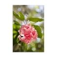 thumbnail image 2 of Gango Home Decor Spring Bloom II by Karyn Millet (Printed on Paper); One 24x36in Fine Art Paper Giclee Print, 2 of 4