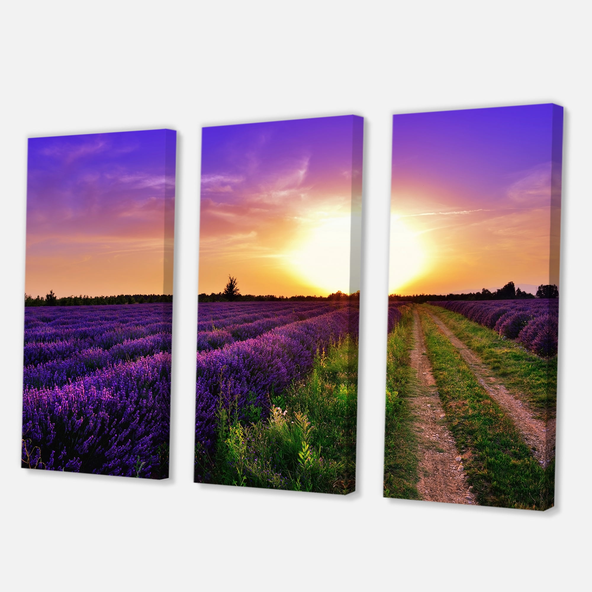 Designart ' Lavender Field At Sunrise II ' Farmhouse Canvas Wall Art Print