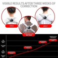 thumbnail image 5 of Ceinture de correction de posture de vibration (HHHC) de Synchronisation de Rappel Vocal d'Affichage de lcd Intelligent de Correcteur de posture de vibration, 5 of 5