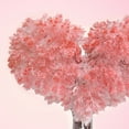 WANGJIAOID Heart Shaped Paper Tree Flowering Colorful Growing Tree Toy wangjiaoid-heart-shaped-paper-tree-flowering-colorful-growing-tree-toy