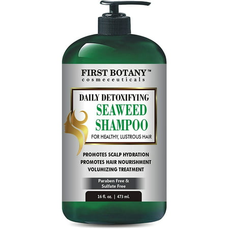 Seaweed Shampoo 16 fl oz, Daily Anti Hair loss, Hydrating, Detoxifying, Volumizing, Hair Growth Promoting Shampoo For Men and (Best Shampoo For Women's Hair Loss)