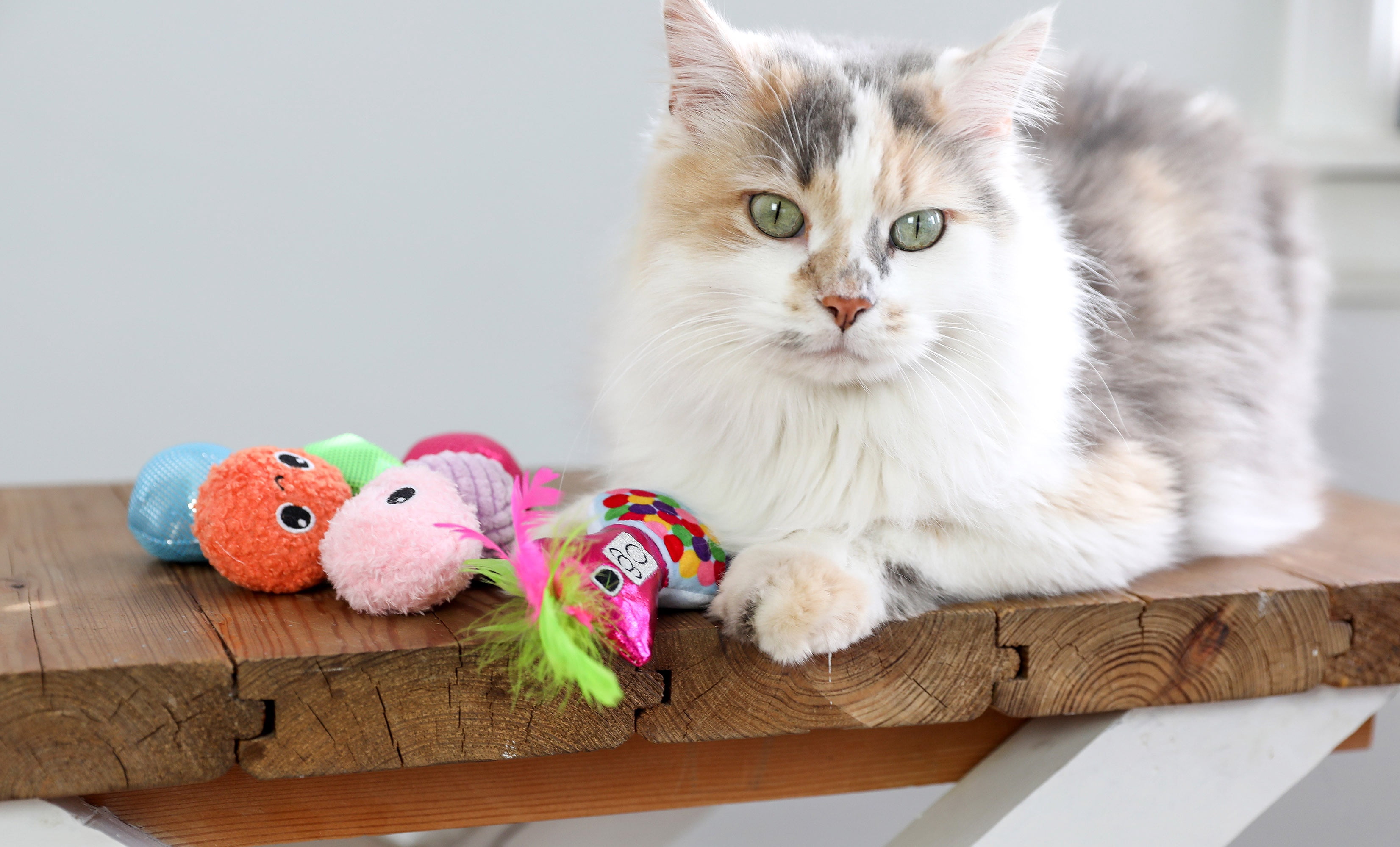 Quirky Kitty Batty Bubble Gum Chase and Pounce Catnip Cat Toy, Pack of 7