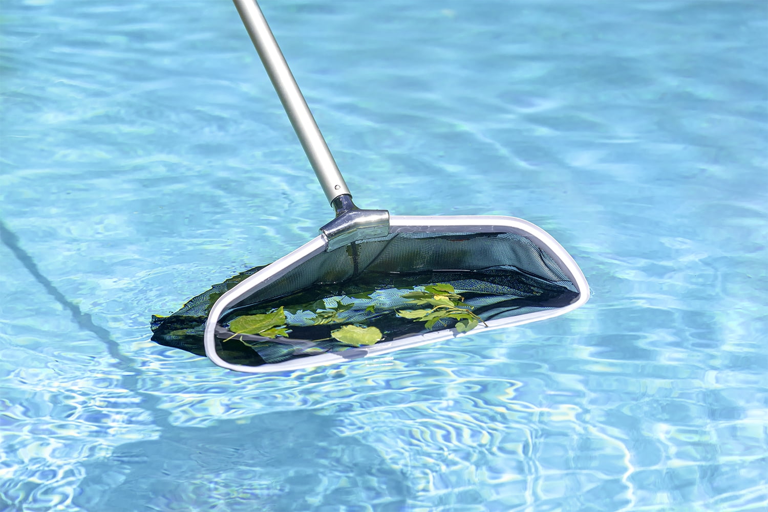 pool leaf rake
