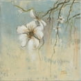 thumbnail image 3 of Pinto, Patricia 15x15 Black Modern Framed Museum Art Print Titled - Cherry Blossom I, 3 of 5