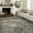 AR1008-GRIEGE, variant on DEORAB 8x10 Ultra-thin Area Rugs for Living Room Bedroom, Machine Washable Stain Resistant Non-Shed Carpet, Low Pile Mat with Non Slip Backing