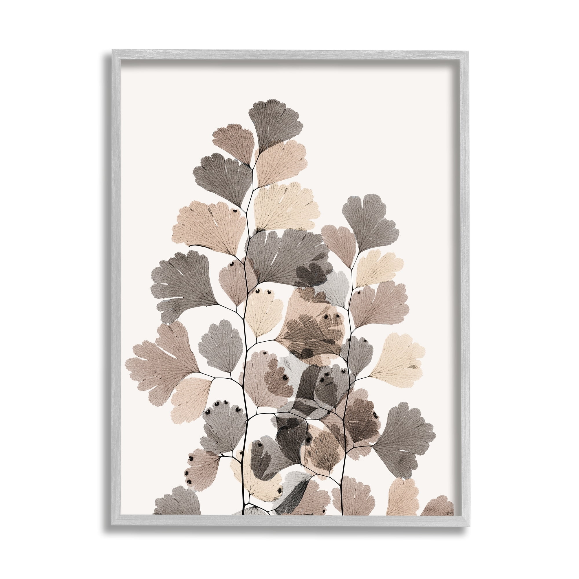 Stupell Industries Modern Ginkgo Leaf Arrangement Translucent Brown Grey Leaves, 11 x 14,Design by Albert Koetsier