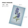 thumbnail image 5 of Lantern Press 1000 Piece Jigsaw Puzzle, Austin, Texas, Vintage Flora, State Series, Bluebonnet, 5 of 5