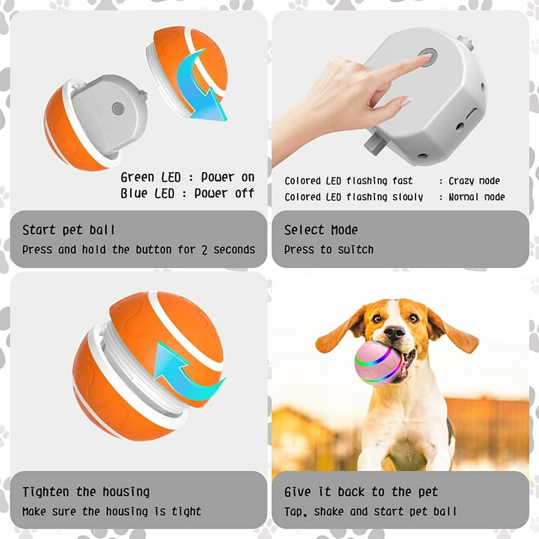Interactive Dog Ball Toys, Active Rolling Ball for Indoor Dogs/Cats with  Motion Activated/USB Rechargeable, Moving Bouncing Ball pet Puzzle Toy 