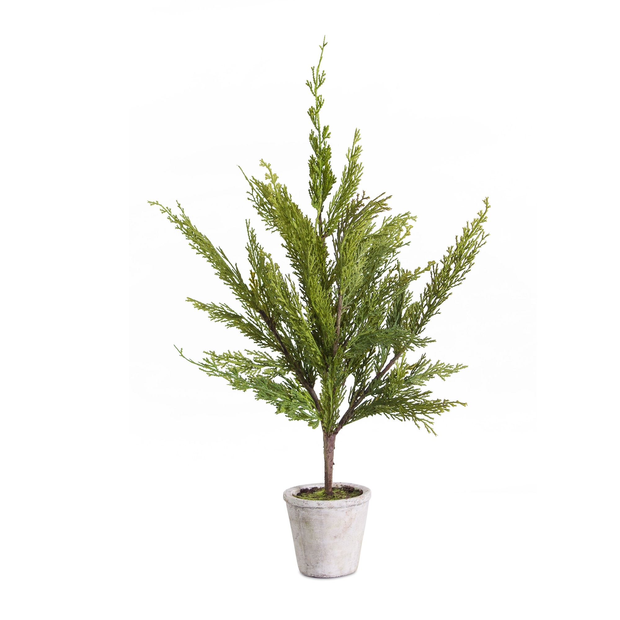 Set of 4 Green Potted Pine Tree and Antique White Base Decorative Artificial Plastic Plant, 26