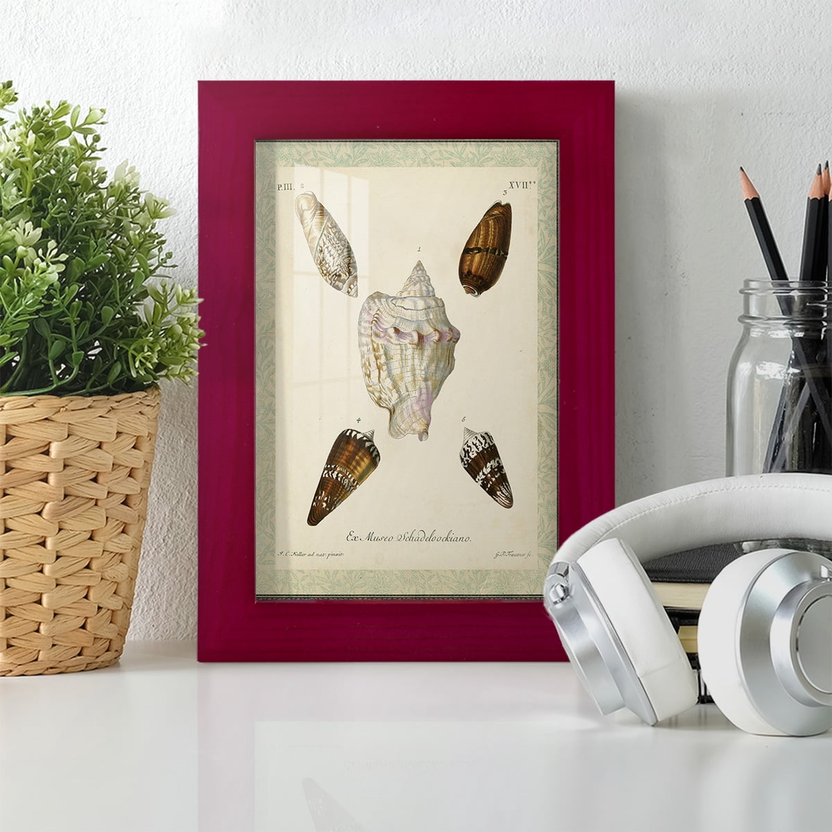 Bookplate Shells IV - Framed Print w/glass - Cherry Red