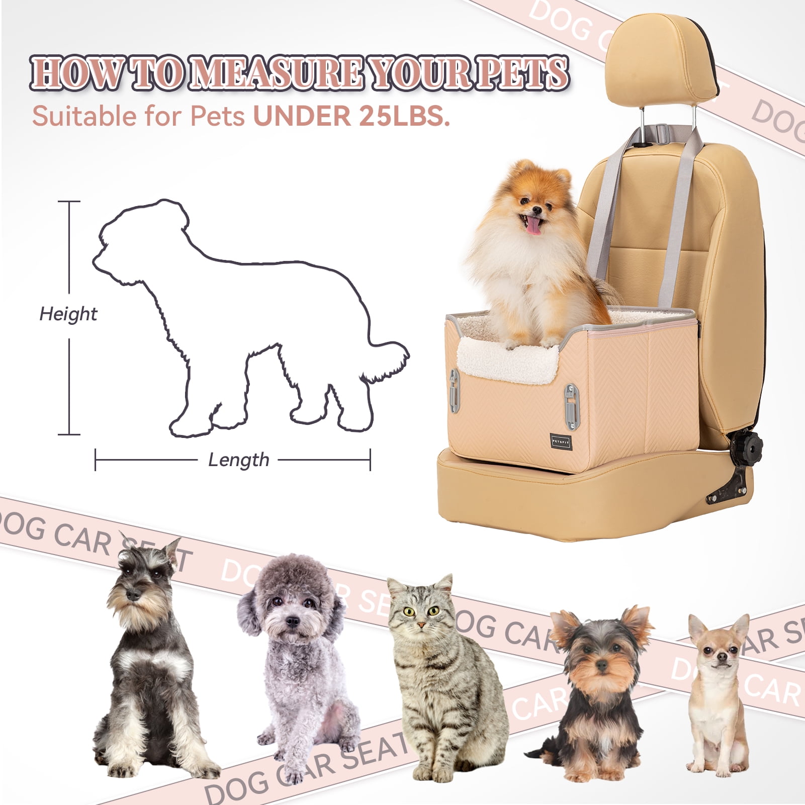 PETSFIT Cat Car Seat, Waterproof PU Leather ,Patent Safe Buckles, Dog Booster Car Seat for Small Pets up to 25lbs (Orange)