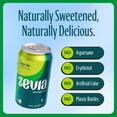 thumbnail image 5 of 3 Pack | Zevia Zero Calorie Soda, Ginger Ale, 12 Ounce Cans (Pack Of 6) & 3x 9oz Disposable Plastic Cups, 5 of 5