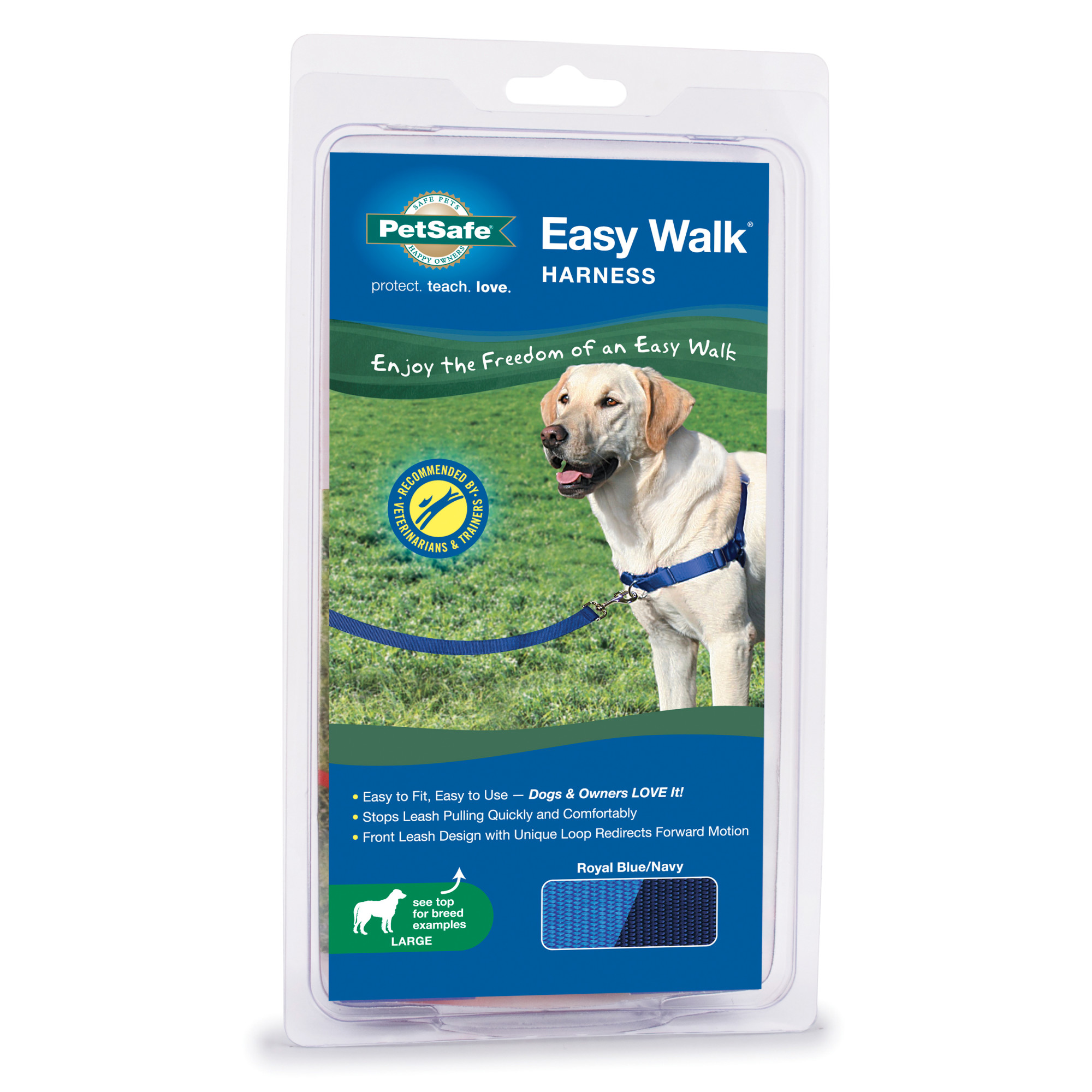 easy leash training dog
