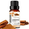 Cinnamon Essential Oil - 100% Pure Extract Cinnamon Oil Therapeutic Grade ( 0.33 Fl Oz / 10 ml)