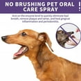 thumbnail image 5 of Dog Teeth Cleaning Spray，No Brushing Pet Oral Care Spray for Dogs and Cats,Pet Oral Spray Clean Teeth Fresh Breath,Plaque Attack for Dogs Spray, 5 of 7