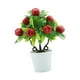 thumbnail image 5 of Adorno de mesa con plantas artificiales en maceta y fruta artificial en maceta pequeña. Manzana, 5 of 9